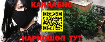 мдпв Славгород