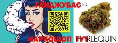 мдпв Славгород