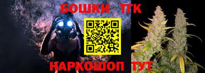 мдпв Славгород