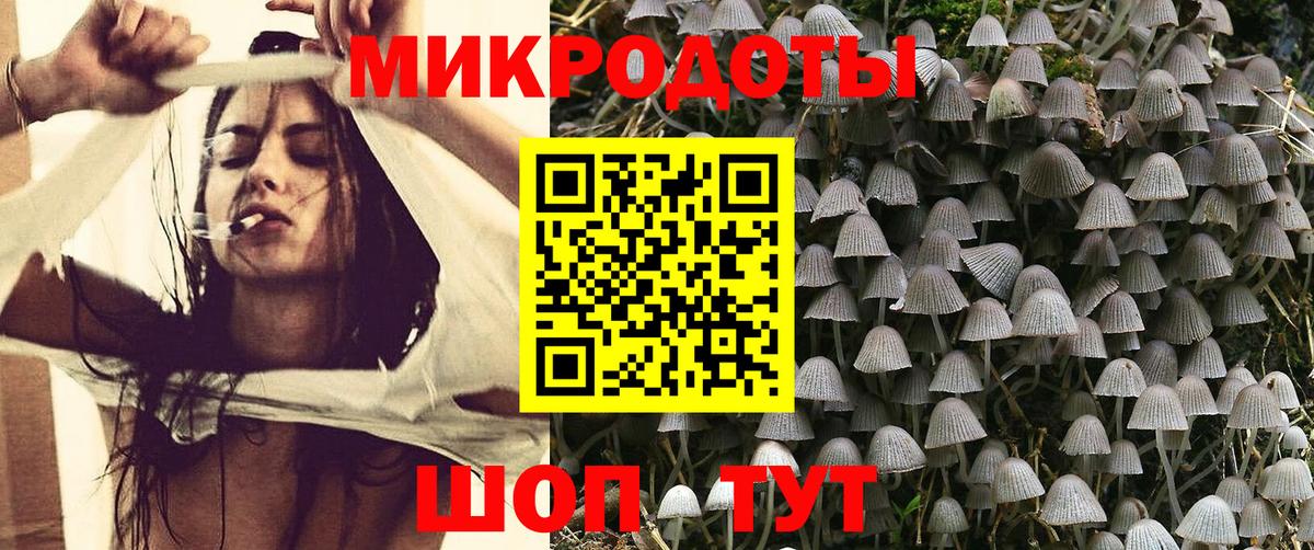 Псилоцибиновые грибы прущие грибы Реутов