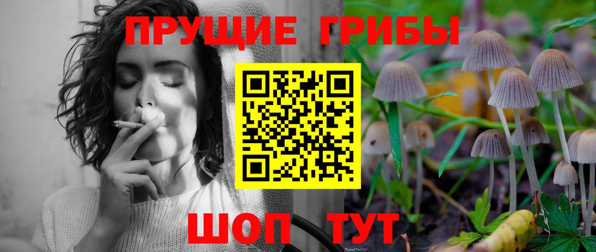 Галлюциногенные грибы мухоморы  где купить   Реутов  Вход с VPN  Галлюциногенные грибы прущие грибы 
