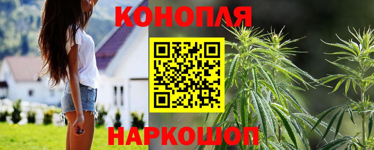 Бошки Шишки MAZAR Реутов